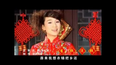 龙梅子 - 有钱没钱回家过年