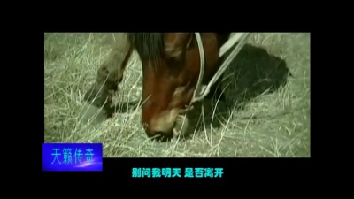 凤凰传奇 - 天籁传奇
