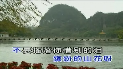 吴雁泽 - 再见了,大别山
