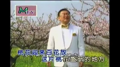 蒋大为 - 桃花依旧笑春风