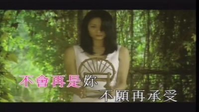 刘德华 - 浪人情歌