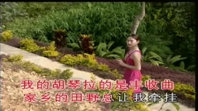 董文华 - 我用胡琴和你说话