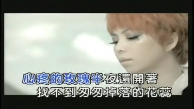张惠妹 - 掉了