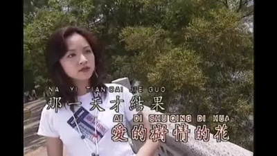 邓丽君 - 我要对你说