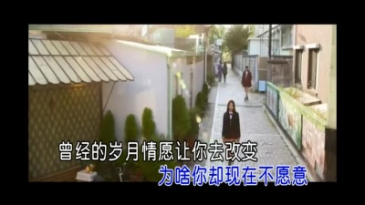 龙飞 - 爱恨情歌
