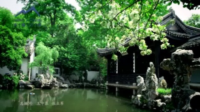 张津涤 - 恋蝶
