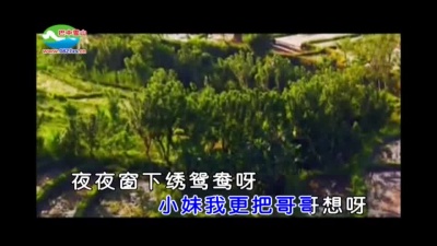 杨钰莹 - 四季花