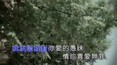 蔡晓 - 用一生的时间