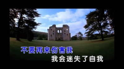 孙露 - 不要再来伤害我