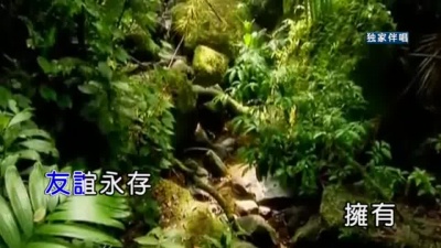 黑鸭子演唱组 - 友谊地久天长