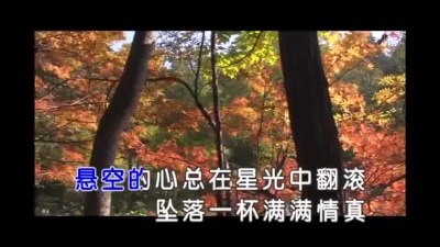 孙露 - 我不是一个爱过就算的人