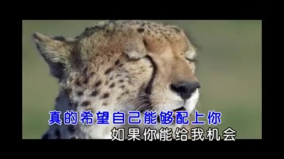 孙露 - 一定要爱你