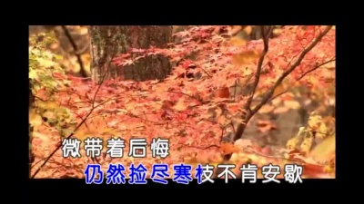 孙露 - 寂寞沙洲冷