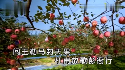 张皓强 - 中国苹果之乡圆舞曲