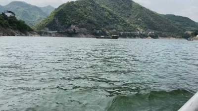 梵高先生 - 我以为我买票了，就能坐到终点站。