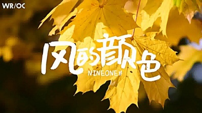 NINEONE # - 风的颜色