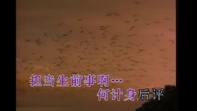 毛阿敏 - 历史的天空