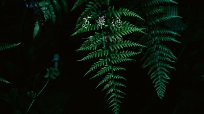 一条小团团ovo - 苏幕遮