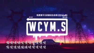 王七七、Yaha - 我愿意平凡的陪在你身旁 (DjYaha版)
