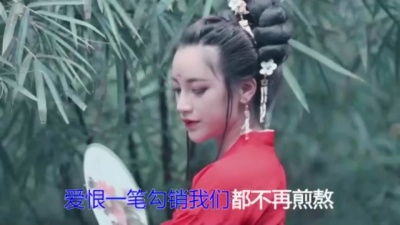 网络歌手 - 散了就好 (许丽静)