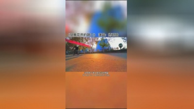 奶牛影视 - 凤凰花开的路口终于我们还是分头走，陪你走了一段没有结果的路虽然不长但也知足