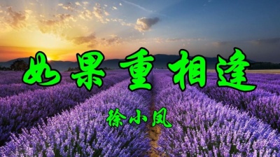 青宝 - 徐小凤一首经典老歌《如果重相逢》带来满满的回忆