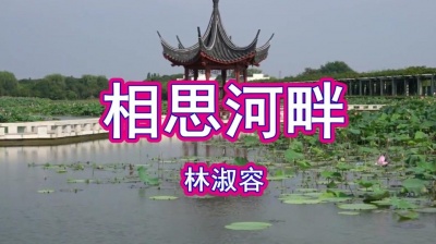 经典金曲 - 经典情歌，林淑容一首《相思河畔》甜美醉人