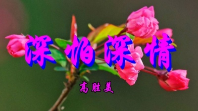一凡 - 经典老歌，高胜美一首《深怕深情》非常好听