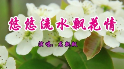 漫步音乐街 - 龙飘飘一首经典情歌《悠悠流水飘花情》好听极了
