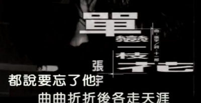 张宇 - 单恋一枝花