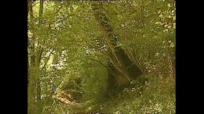 Jeffrey Tate、English Chamber Orchestra、kiri te kanawa - Canteloube: Chants d'Auvergne - 12. Brezairola