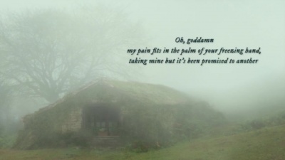 Taylor Swift - ivy