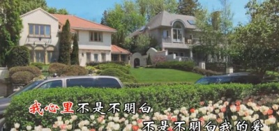 高胜美 - 情深似海