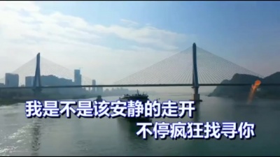 孙露 - 我是不是该安静的走开