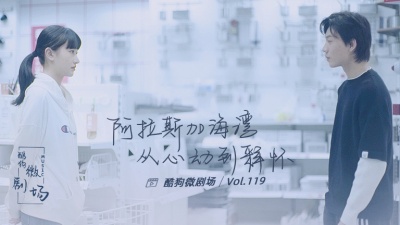 蓝心羽、酷狗微剧场 - 阿拉斯加海湾