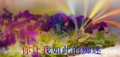 志洲 - 最美的相遇