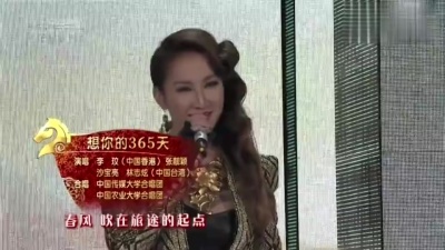 张靓颖、CoCo李玟、沙宝亮、林志炫 - 想你的365天