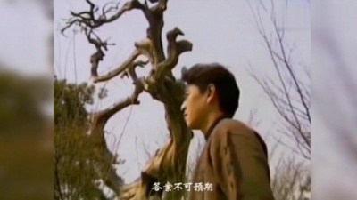 爱豆圈 - 我的心没有结局