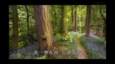 爱豆圈 - 钱的力量