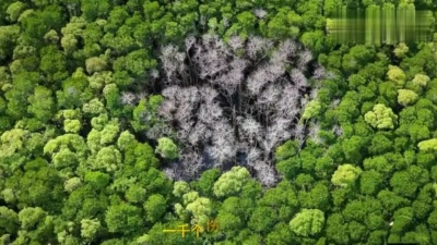 最爱明星饭制 - 艾辰《一千个伤心的理由》饭制版