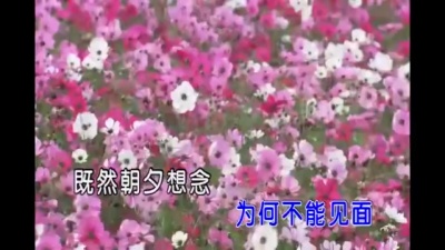 邓丽君 - 心里梦里