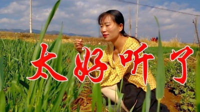 桔子音乐汇 - 一首肉麻情歌《姑娘十八一朵花》循环一整天，肉麻又现实，太好听