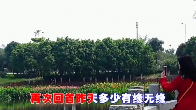 叛縌聖榊 - 石雪峰一首《人生如梦》唱出太多人的心声，令人回味！