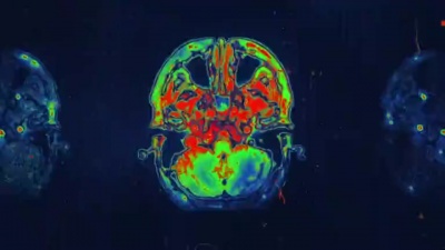 Ship Wrek - Stimulate