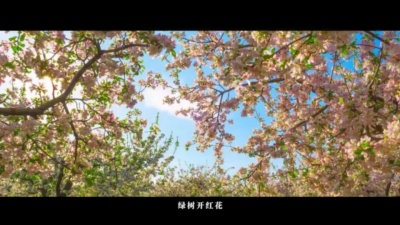 王岩流行音乐教室的孩子们 - 欢迎来我家