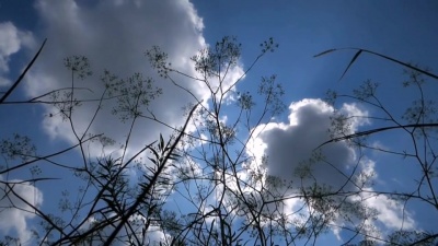 梁逍遥 - 梦回当年古战场