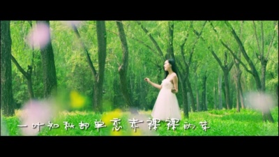 许千千 - 爱如花