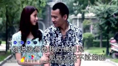 王鹤铮 - 稀世之美