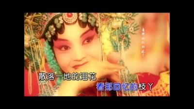 王鹤铮 - 指绽如花