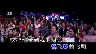 吴瑶 - 鹤飞翔